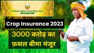 Crop Insurance 2023