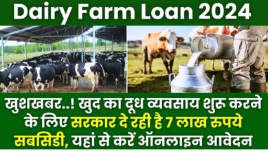 Dairy Farm Loan 2024