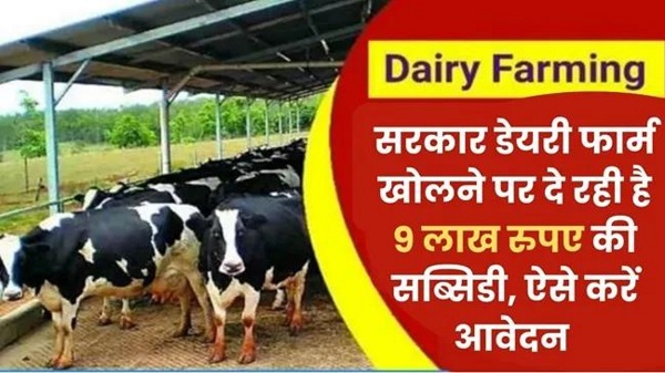 dairy farming loan