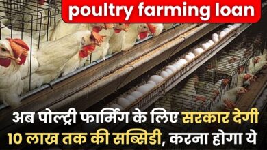 poultry farming loan