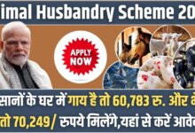 Animal Husbandry Scheme 2025