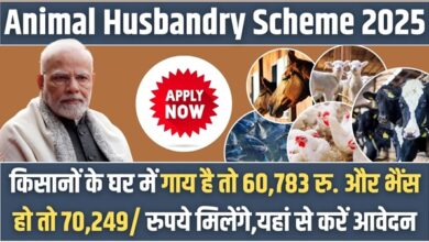 Animal Husbandry Scheme 2025