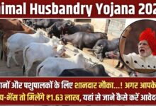 Apply Animal Husbandry 2025