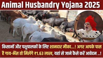 Apply Animal Husbandry 2025