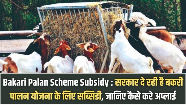 Bakari Palan Scheme Subsidy