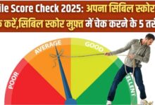 Cibile Score Check 2025