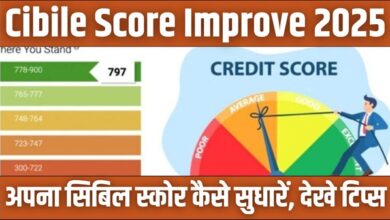 Cibile Score Improve 2025