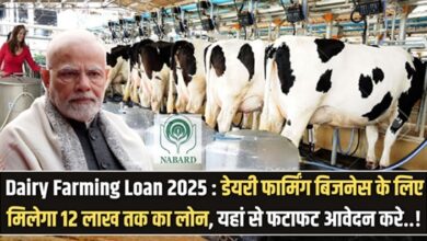 Dairy Farming Loan 2025