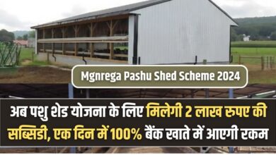 Pashu Shed Scheme 2025