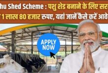 Pashu Shed Yojana 2025