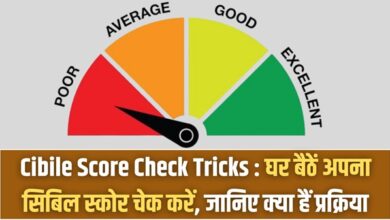 Cibile Score Check Tricks