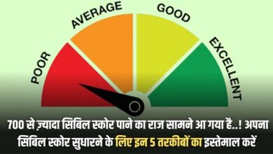 Cibile Score Increase Tricks