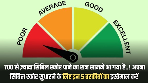 Cibile Score Increase Tricks