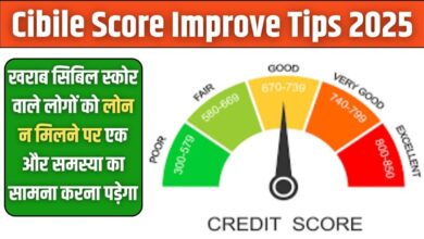 Cibile Score Tips 2025