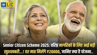 Senior Citizen Scheme 2025