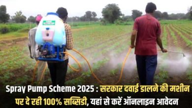 Spray Pump Scheme 2025