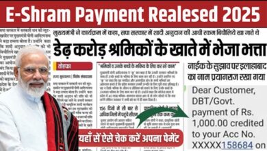 E-Shram Payment Realesed