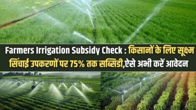 Farmers Irrigation Subsidy Check