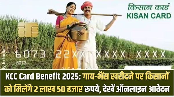 KCC Card Benefit 2025