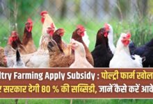 Poultry Farming Apply Subsidy
