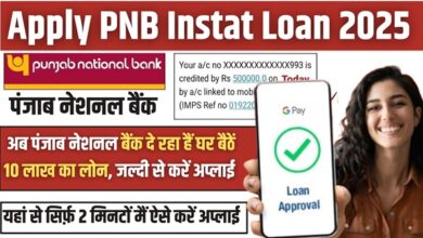 Apply PNB Instat Loan
