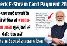 Check E-Shram Card