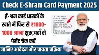 Check E-Shram Card