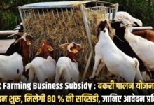 Goat Farming Business Subsidy
