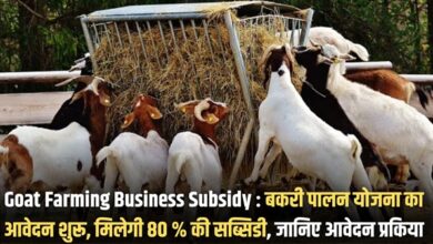 Goat Farming Business Subsidy