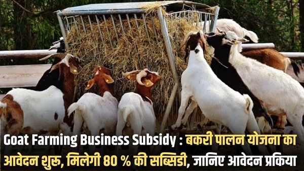 Goat Farming Business Subsidy