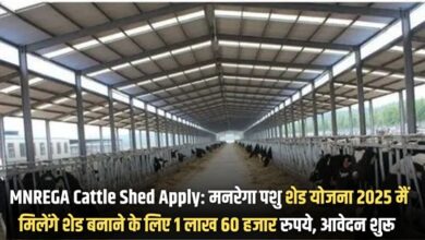 MNREGA Cattle Shed Apply