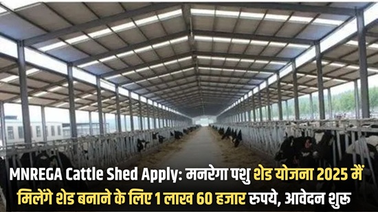 MNREGA Cattle Shed Apply