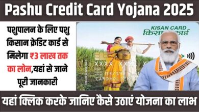 Pashu Credit Card Yojana