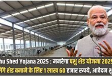 Pashu Shed Apply Process