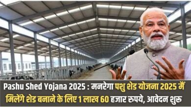Pashu Shed Apply Process