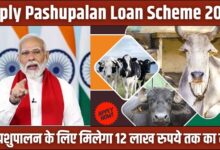 Apply Pashupalan Loan Scheme