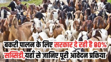 Bakari Palan Yojana 2025