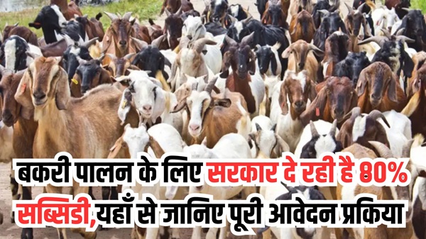 Bakari Palan Yojana 2025