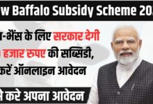 Cow Baffalo Subsidy Scheme