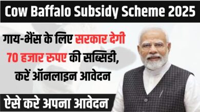 Cow Baffalo Subsidy Scheme