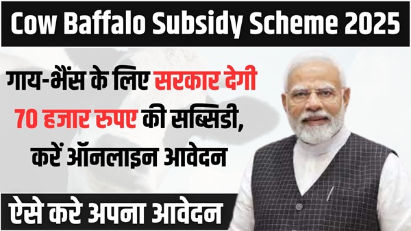 Cow Baffalo Subsidy Scheme