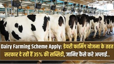 Dairy Farming Scheme Apply