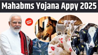 Mahabms Yojana Appy 2025