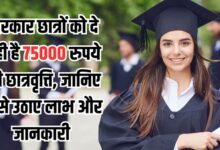 NSP Scholarship 2025