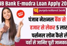 PNB E-mudra Loan