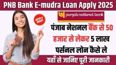 PNB E-mudra Loan