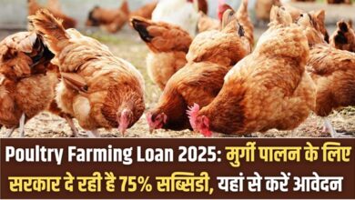 Poultry Farming Loan 2025