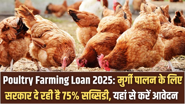 Poultry Farming Loan 2025