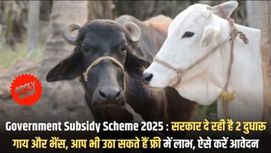 Government Subsidy Scheme 2025