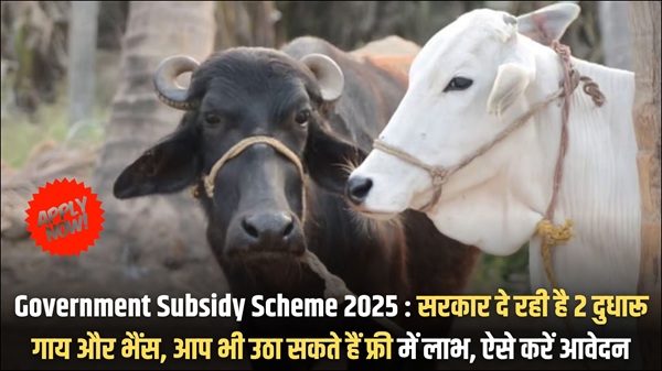 Government Subsidy Scheme 2025